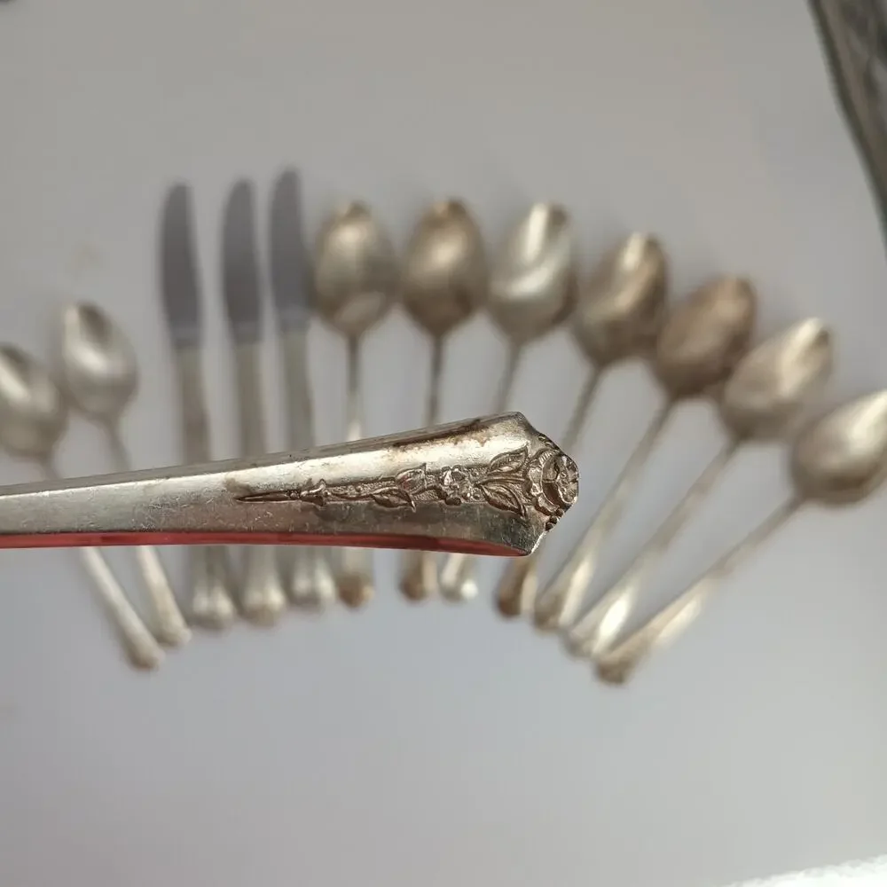 13X Spns c1949 SPRING GARDEN SILVERPLATED Table Tea Spoons Knives